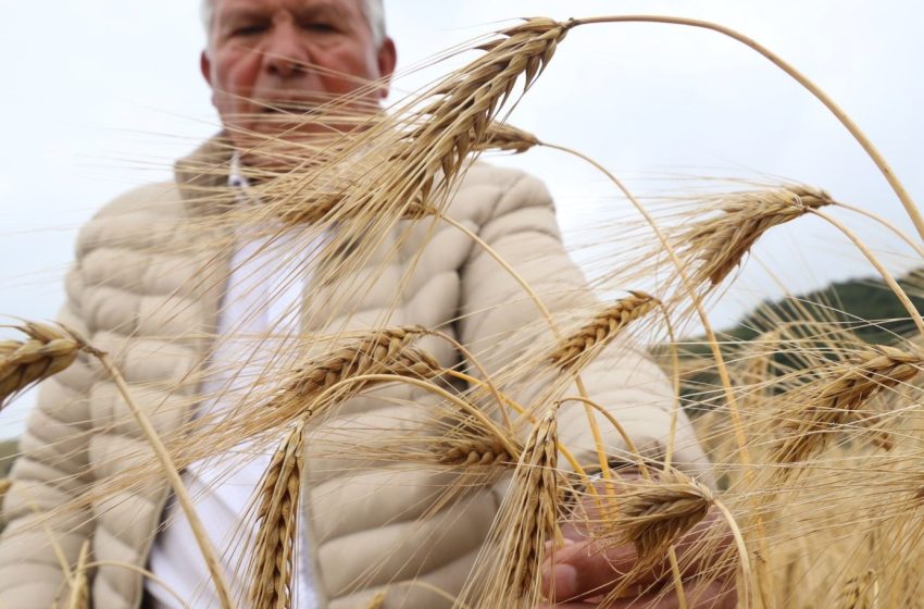  Les puede interesar – 13 – 2 – FEBRERO – *Gobernación de Boyacá ajusta cronograma y formaliza modificaciones en la Convocatoria FINCA 2026* 