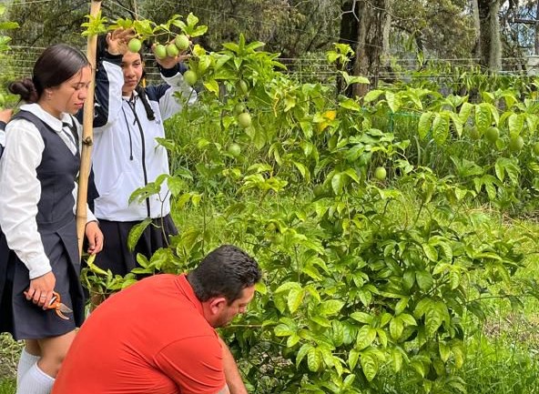  Lo último – 11 – 2 – ABRIL  –  Estudiantes del Norte de Boyacá siembran futuro con huertas escolares – 