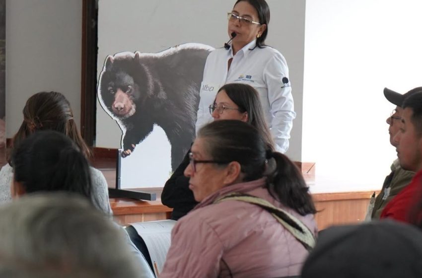  Lo último – Corpoboyacá abrió sus puertas a los guardianes de las abejas con un taller que endulza el futuro de la apicultura – 